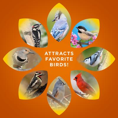 Show full view: Audubon Park Woodpecker Snack Stack Seed Wild Bird Food, 8-oz box, 6 count slide 5 of 9