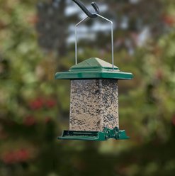 Audubon Vista Winter Squirrel Resistant Wild Bird Feeder, Green, 6-lb slide 2 of 2