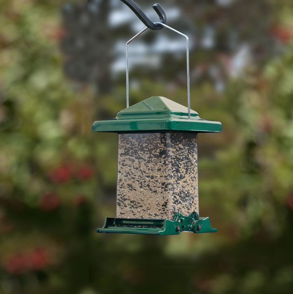 Audubon Vista Winter Squirrel Resistant Wild Bird Feeder, Green, 6-lb