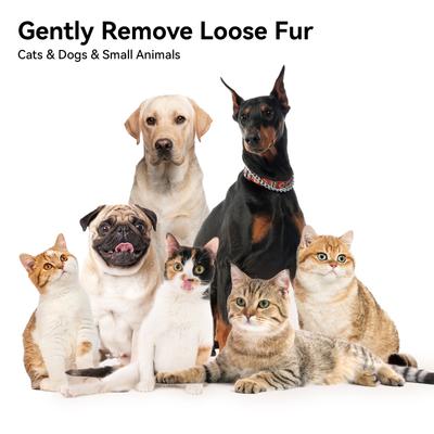 Show full view: aumuca Pet Deshedding Tool for Short-Haired Dogs & Cats, White slide 9 of 12