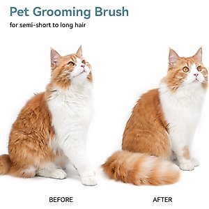 aumuca Self Cleaning Slicker Brush, Green