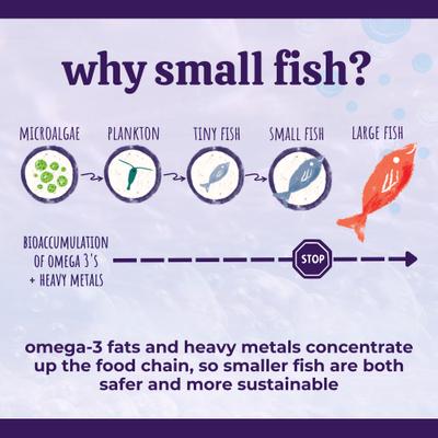 Show full view: Austin and Kat Austin's Everything Oil Omega Fish Oil Liquid Skin & Coat Supplement for Dogs, 16-fl oz bottle slide 6 of 9