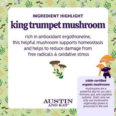 Show full view: Austin and Kat Bailey's No More Wiggles Dog & Cat Supplement, 2.71-oz bag slide 6 of 11