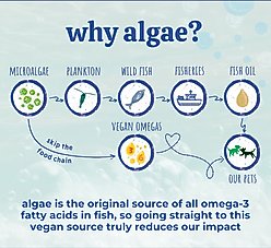 Austin and Kat Blanca's Marine Algae Oil Vegan Omega Liquid Skin & Coat Supplement for Dogs, 16-fl oz bottle slide 2 of 7