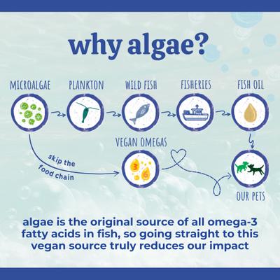 Show full view: Austin and Kat Blanca's Marine Algae Oil Vegan Omega Liquid Skin & Coat Supplement for Dogs, 16-fl oz bottle slide 6 of 9