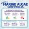 Show in main carousel: Austin and Kat Blanca's Marine Algae Oil Vegan Omega Liquid Skin & Coat Supplement for Dogs, 16-fl oz bottle slide 4 of 9
