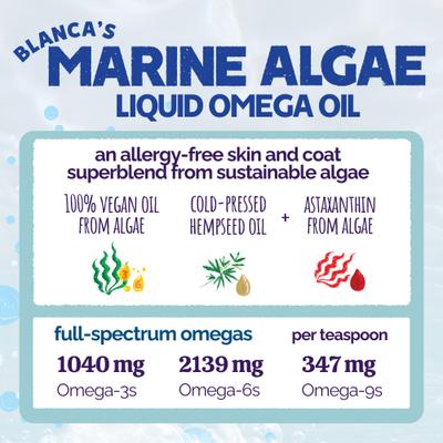 Show full view: Austin and Kat Blanca's Marine Algae Oil Vegan Omega Liquid Skin & Coat Supplement for Dogs, 16-fl oz bottle slide 4 of 9