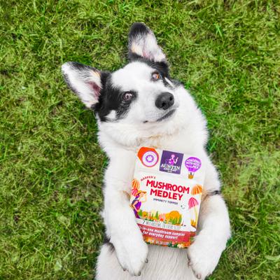 Show full view: Austin and Kat Harper's Mushroom Medley Dog & Cat Supplement, 2.12-oz bag slide 9 of 11