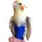 Show in main carousel: Avian Fashions FeatherWear FlightSuit Bird Diaper, Blue, Small, 4 slide 1 of 8