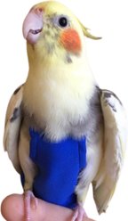 Avian Fashions FeatherWear FlightSuit Bird Diaper, Blue, X-Wide, 9
