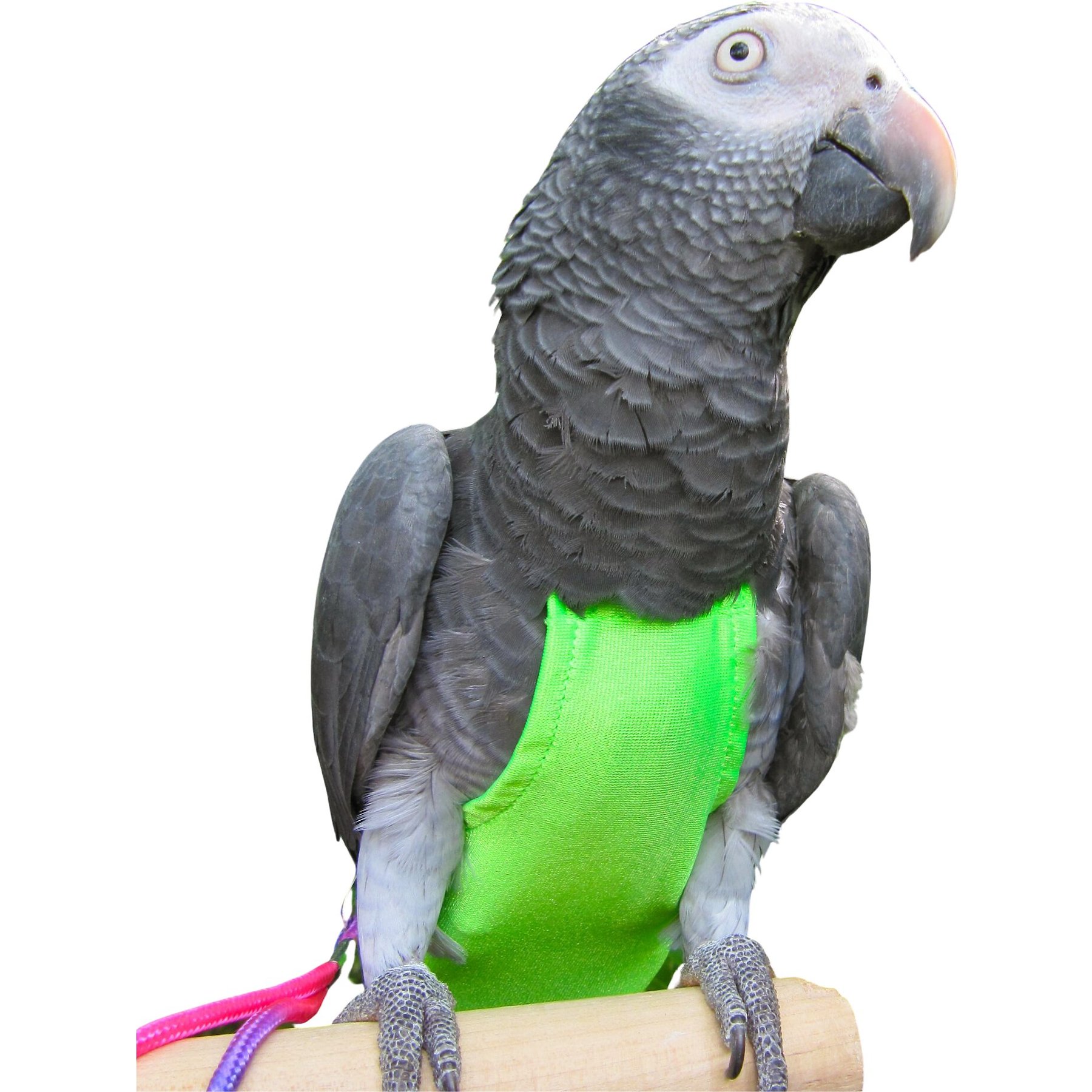 Avian Fashions FeatherWear FlightSuit Bird Diaper, Green, Mammoth, 14