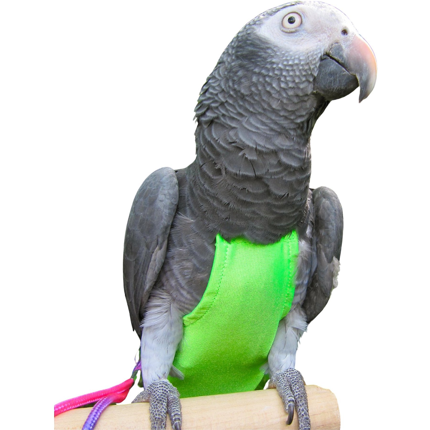 Avian Fashions FeatherWear FlightSuit Bird Diaper, Green, X-Wide Long, 11