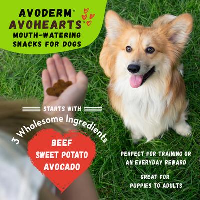 Show full view: AvoDerm AvoHearts Beef & Avocado Formula Dog Treats, 5-oz bag slide 5 of 5