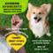 Show in main carousel: AvoDerm AvoHearts Turkey & Avocado Formula Dog Treats, 5-oz bag slide 5 of 6