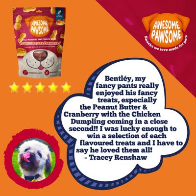 Show full view: Awesome Pawsome Peanut Butter & Cranberry Dog Treats, 3-oz bag slide 10 of 12