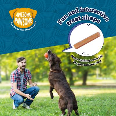 Show full view: Awesome Pawsome Salmon Supreme Recipe Dog Treats, 3-oz bag slide 8 of 11