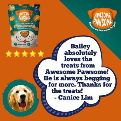 Show full view: Awesome Pawsome Super Pumpkin Recipe Dog Treats, 3-oz bag slide 10 of 12
