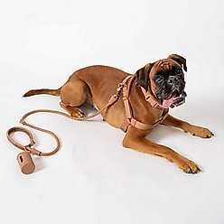 Awoo AwPoo Dog Poop Bag Holder, Mocha slide 2 of 3