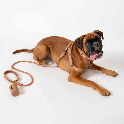 Show full view: Awoo AwPoo Dog Poop Bag Holder, Mocha slide 2 of 4