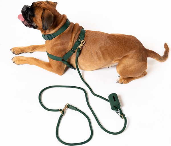 Show full view: Awoo AwPoo Dog Poop Bag Holder, Pine slide 2 of 4