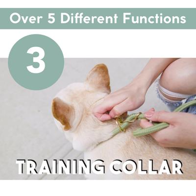 Show full view: Awoo City Standard Dog Leash, 5-ft long, Black slide 6 of 10