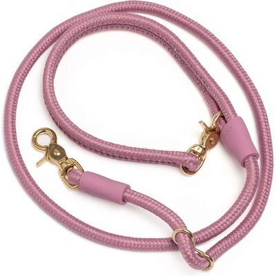 Awoo Awoo City Standard Dog Leash, 5-ft long, Mauve