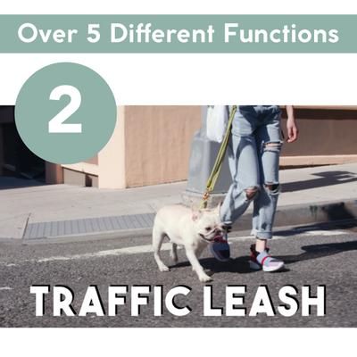 Show full view: Awoo City Standard Dog Leash, 5-ft long, Olive slide 4 of 9