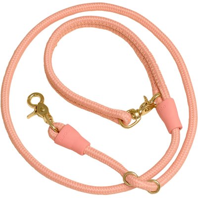 Awoo Awoo City Standard Dog Leash, 5-ft long, Peach