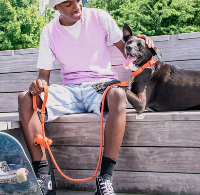 Show full view: Awoo City Standard Dog Leash, 5-ft long, Spice slide 3 of 10