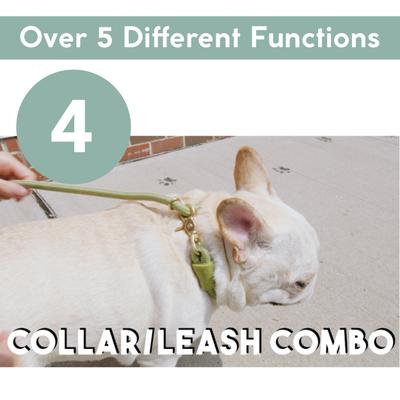 Show full view: Awoo City Standard Dog Leash, 5-ft long, Spice slide 7 of 10