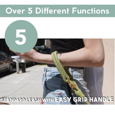 Show full view: Awoo City Standard Dog Leash, 5-ft long, Spice slide 8 of 10