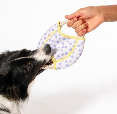 Show full view: Awoo Dizzy Disc Organic Cotton Frisbee Dog Toy slide 3 of 6