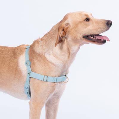 Show full view: Awoo Fetch! AirTag Holder for Dog Collar, 2 count, Black slide 5 of 8