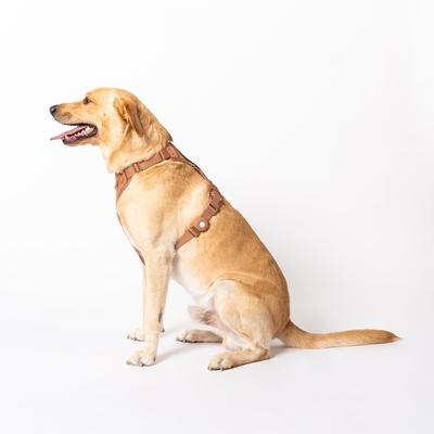 Show full view: Awoo Fetch! AirTag Holder for Dog Collar, 2 count, Mocha slide 5 of 8