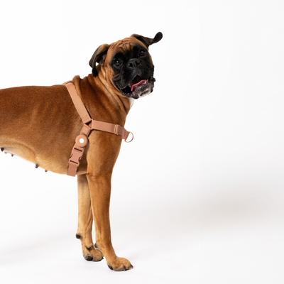 Show full view: Awoo Fetch! AirTag Holder for Dog Collar, 2 count, Mocha slide 3 of 8