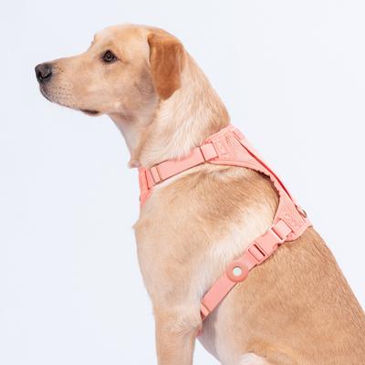 Show full view: Awoo Fetch! AirTag Holder for Dog Collar, 2 count, Navy slide 5 of 9