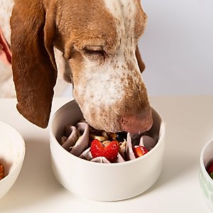 Awoo Good Vibes Silicone Dog & Cat Slow Feeder Bowl Insert, Sky