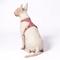 Show in main carousel: Awoo Huggie Front Clip Dog Harness, Mauve, X-Small: 12.5 to 15.5-in chest slide 2 of 6