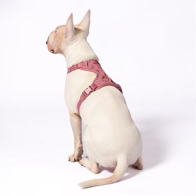 Show full view: Awoo Huggie Front Clip Dog Harness, Mauve, X-Small: 12.5 to 15.5-in chest slide 2 of 6