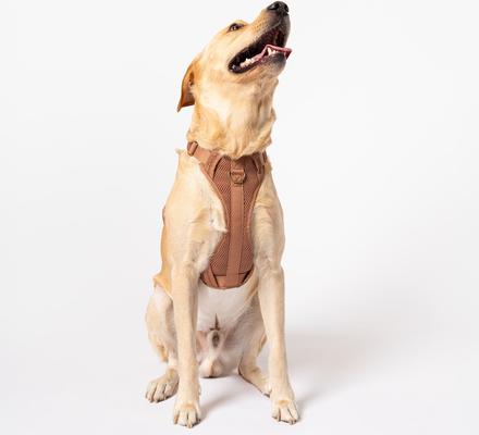 Show full view: Awoo Huggie Front Clip Dog Harness, Mocha, Large: 25 to 38.5-in chest slide 2 of 6