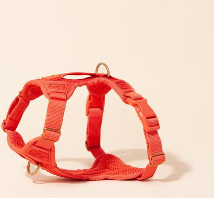 Show full view: Awoo Huggie Front Clip Dog Harness, Peach, Medium: 20 to 29-in chest slide 6 of 11