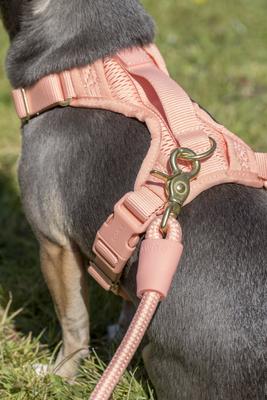 Show full view: Awoo Huggie Front Clip Dog Harness, Peach, Medium: 20 to 29-in chest slide 7 of 11