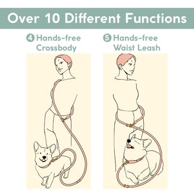 Show full view: Awoo Infinity Standard Dog Leash, 7-ft long, Black slide 7 of 11