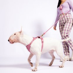 Awoo Infinity Standard Dog Leash, 7-ft long, Mauve slide 2 of 3