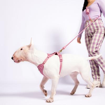 Show full view: Awoo Infinity Standard Dog Leash, 7-ft long, Mauve slide 2 of 4