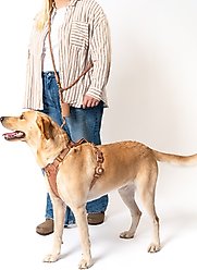 Awoo Infinity Standard Dog Leash, 7-ft long, Mocha slide 2 of 3