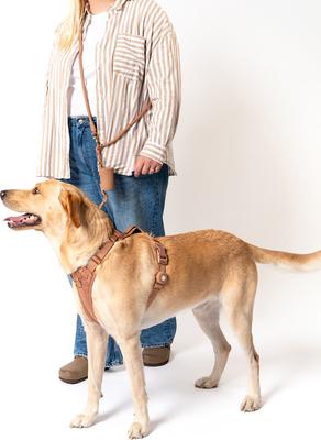 Show full view: Awoo Infinity Standard Dog Leash, 7-ft long, Mocha slide 2 of 4