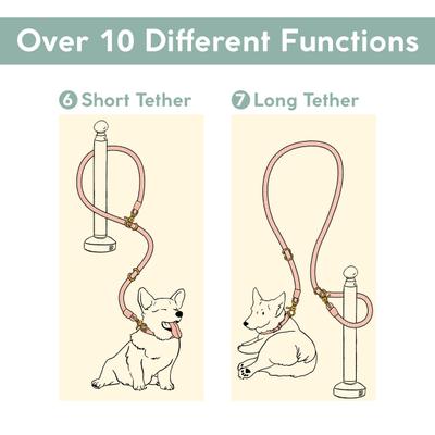 Show full view: Awoo Infinity Standard Dog Leash, 7-ft long, Navy slide 7 of 10