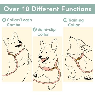 Show full view: Awoo Infinity Standard Dog Leash, 7-ft long, Navy slide 8 of 10