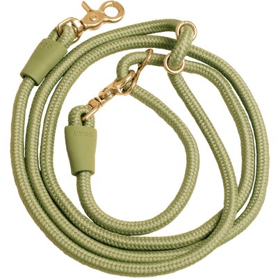 Awoo Awoo Infinity Standard Dog Leash, 7-ft long, Olive